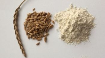 Mąka orkiszowa